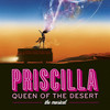 Priscilla Queen of the Desert at the Fabulous Fox Theatre, St Louis