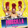 Priscilla Queen of the Desert at Fabulous Fox Theatre