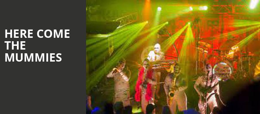 Here Come The Mummies, The Pageant, St. Louis