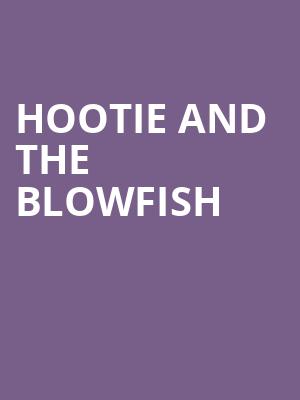 Hootie and the Blowfish, Hollywood Casino Amphitheatre, St. Louis