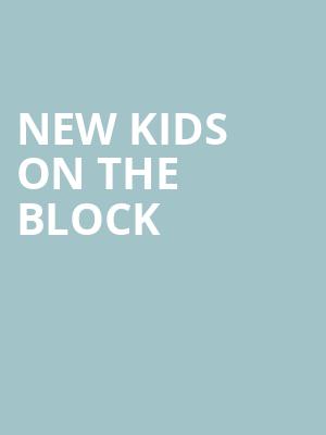 New Kids On The Block, Hollywood Casino Amphitheatre, St. Louis