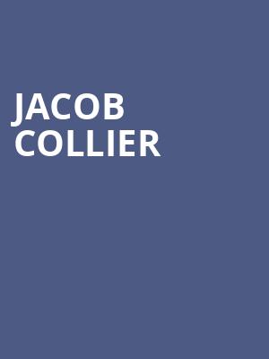 Jacob Collier, Saint Louis Music Park, St. Louis