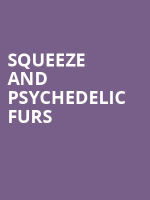 Squeeze and Psychedelic Furs, Stifel Theatre, St. Louis