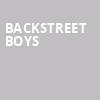 Backstreet Boys, Hollywood Casino Amphitheatre, St. Louis