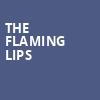The Flaming Lips, Saint Louis Music Park, St. Louis