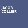 Jacob Collier, Saint Louis Music Park, St. Louis