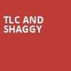 TLC and Shaggy, Hollywood Casino Amphitheatre, St. Louis