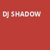 DJ Shadow, Delmar Hall, St. Louis